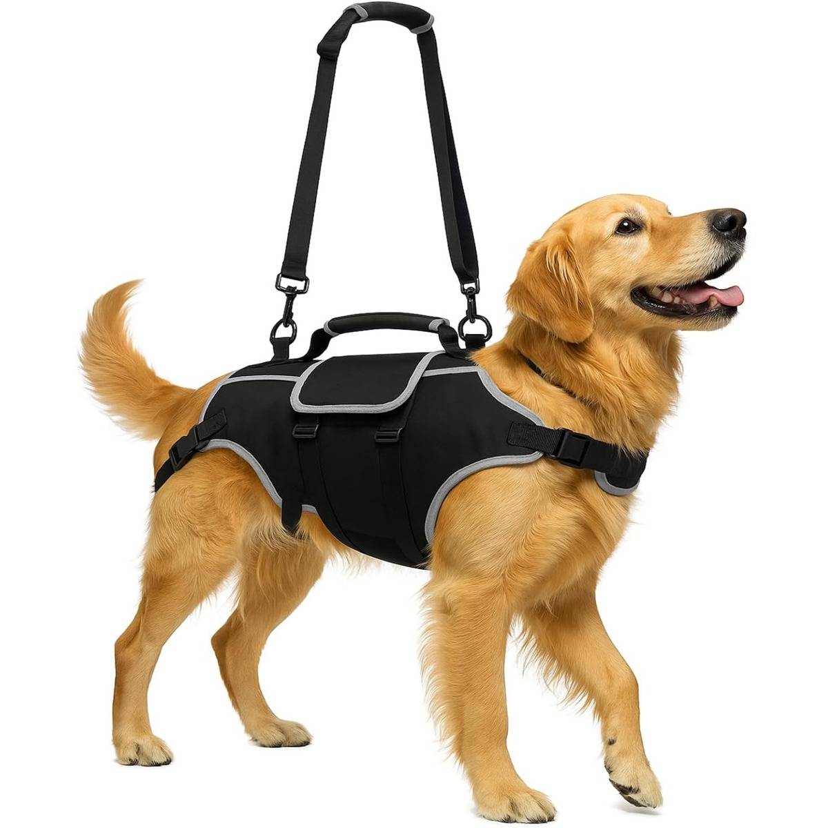 Golden Retriever mit schwarzem Hundeunterstützungsgeschirr mit Overhead-Griff und Leinenriemen auf weißem Hintergrund.