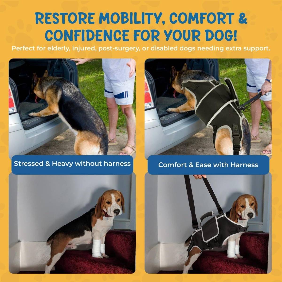 Werbebild eines Hundeunterstützungsgeschirrs vorher und nachher, das einen unterstützten Hund zeigt, der in ein Fahrzeug steigt und mit einem Geschirr für sicherere und einfachere Mobilität steht.