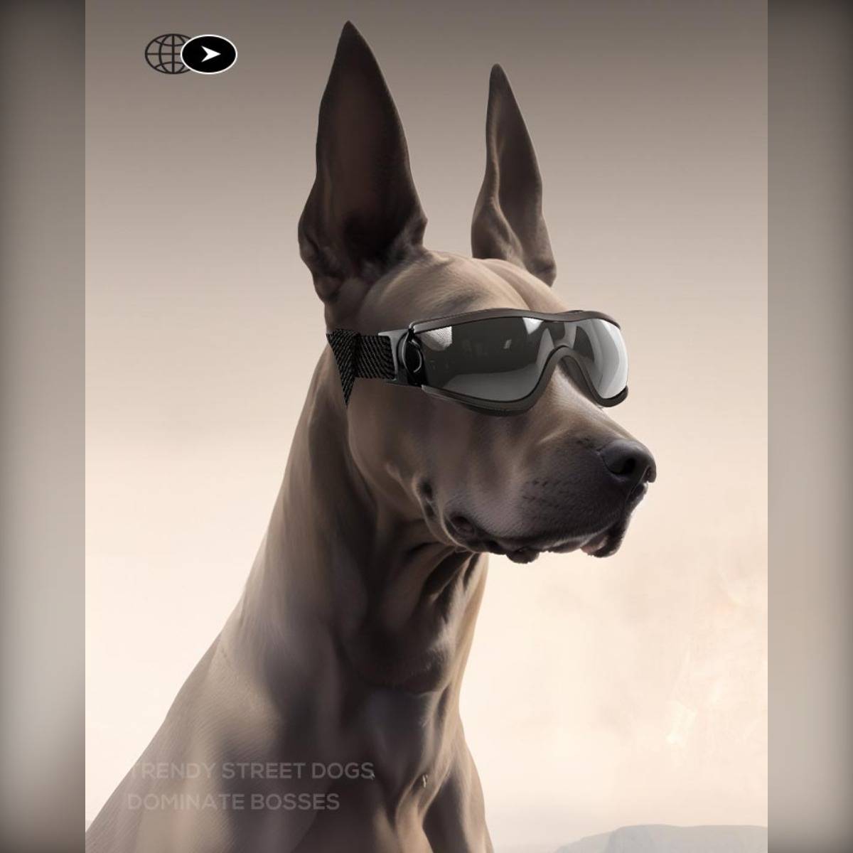 Stilisierter Dobermann mit dunklen Sonnenbrille, nach rechts blickend vor einem einfachen beigen Hintergrund.