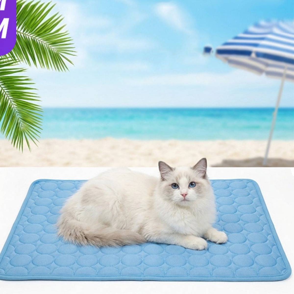 Weiße flauschige Katze, die auf einer blauen Kühlmatte auf einem Strand-Hintergrund mit Palmblättern und einem Regenschirm liegt.