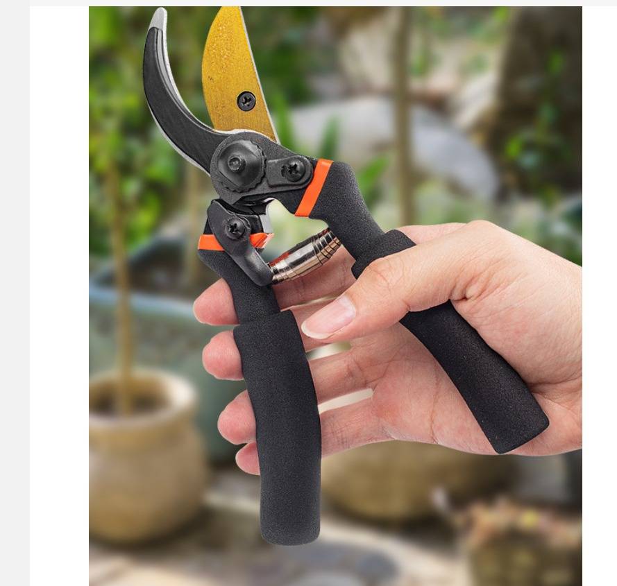 Hand, die gelb-schwarze Gartenscheren mit schwarzen Schaumstoff-Griffen hält, bereit zum Schneiden von Pflanzen im Freien.