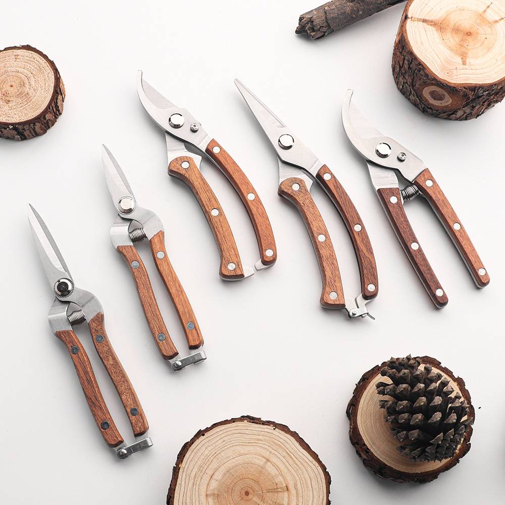 Fünf Gartenscheren mit Holzgriffen auf einer weißen Oberfläche angeordnet, mit geschnittenen Holzscheiben und einer Tannenzapfen, die Gartenschneidewerkzeuge zeigen.