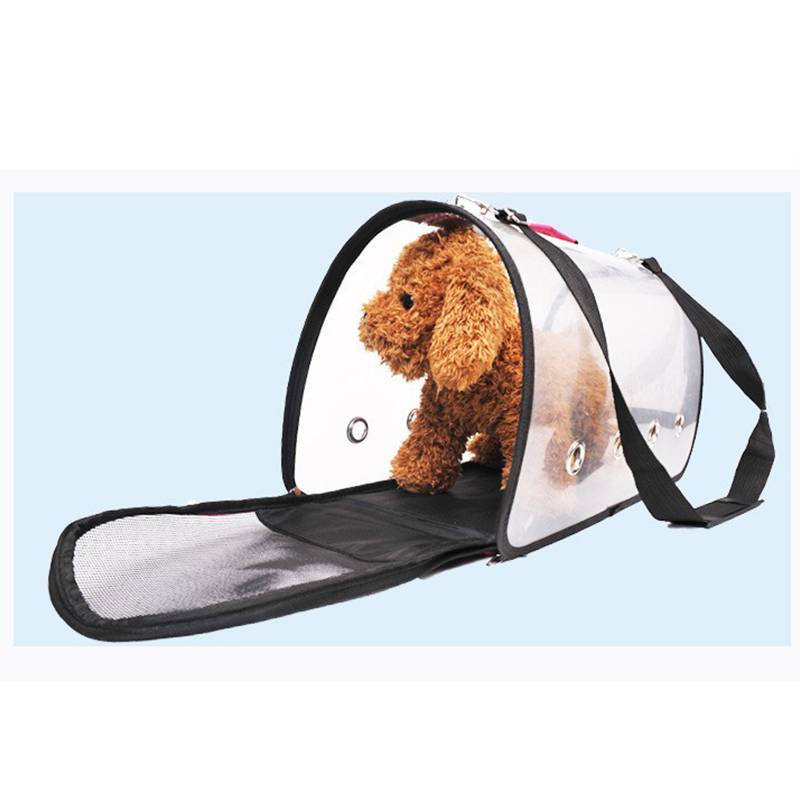 Brauner Hund in einem durchsichtigen Haustier-Rucksack mit offener Maschennetztunnel-Eingang, auf hellblauem Hintergrund.