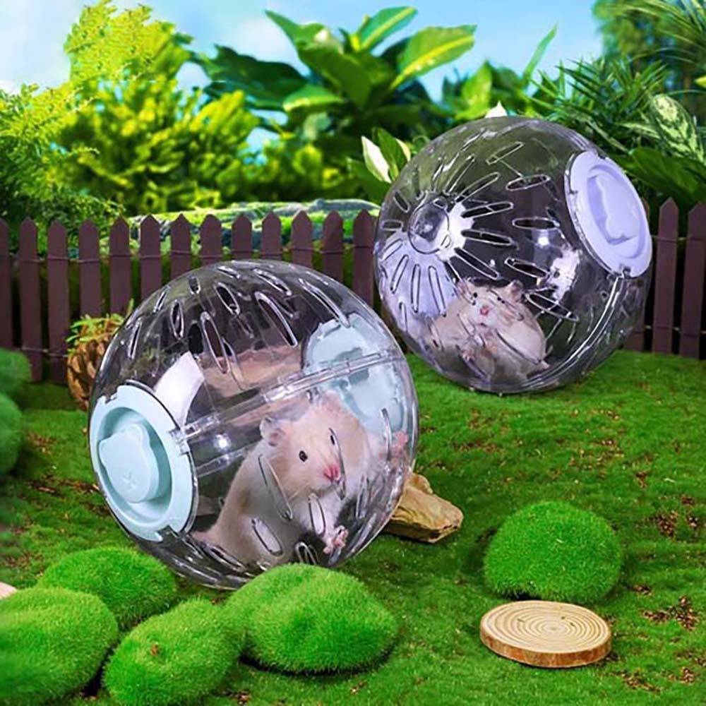 Zwei Hamster in durchsichtigen Plastik-Laufbällen auf einem grasbewachsenen Außenspielplatz mit einem kleinen Zaun und Pflanzen im Hintergrund.