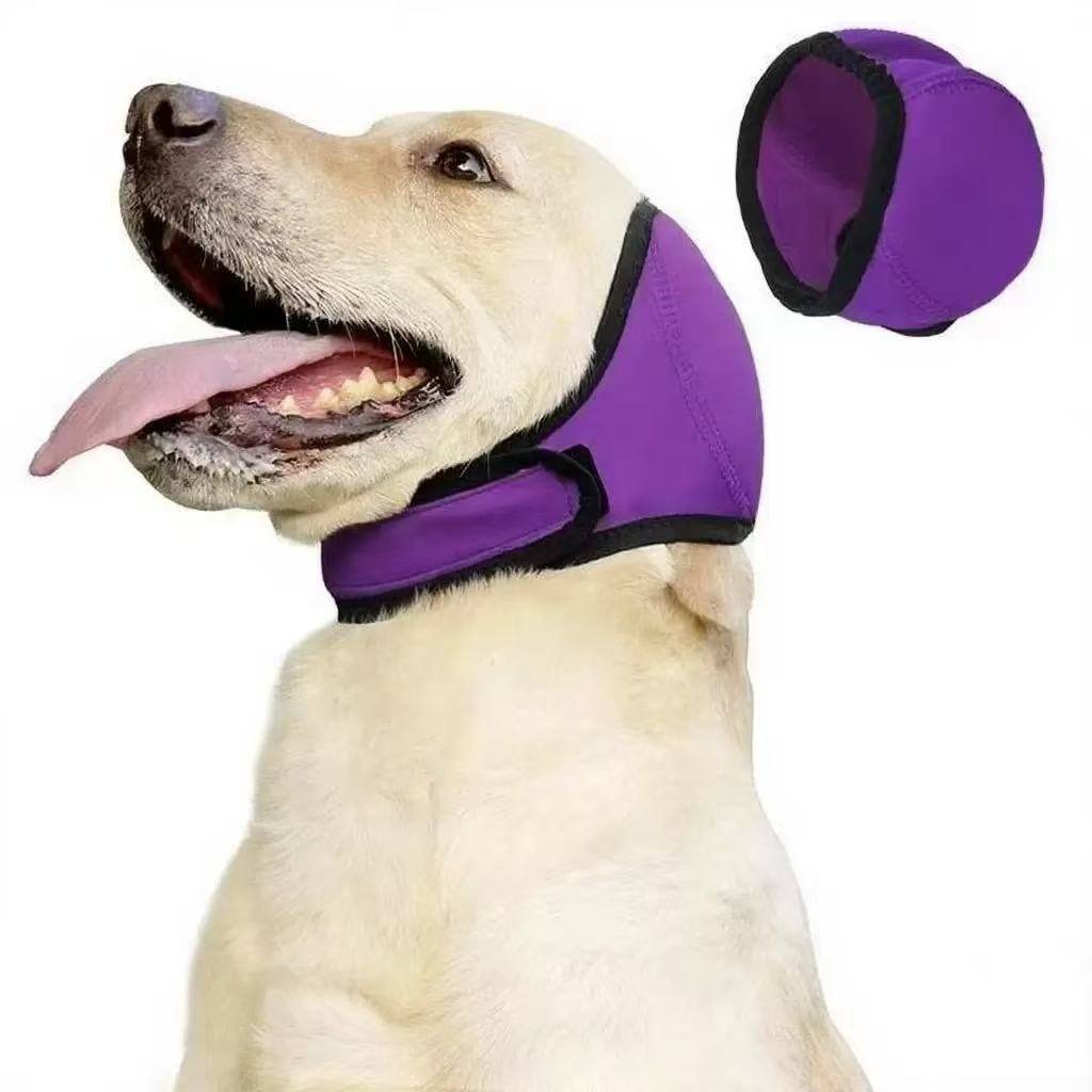Hund mit einer violetten Schutzhaube für Kopf und Hals, gezeigt mit einer separaten Ansicht der Haube auf weißem Hintergrund.