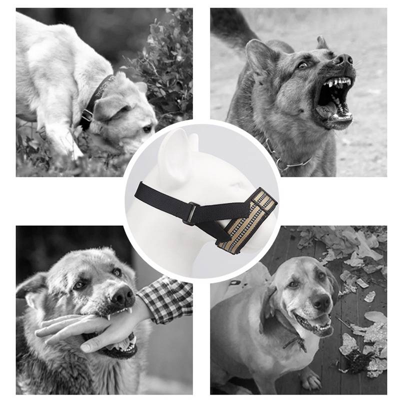 Collage von Hunden, die aggressives oder problematisches Verhalten zeigen, mit einem zentralen elektronischen Anti-Kläff-Trainingshalsband-Gerät.