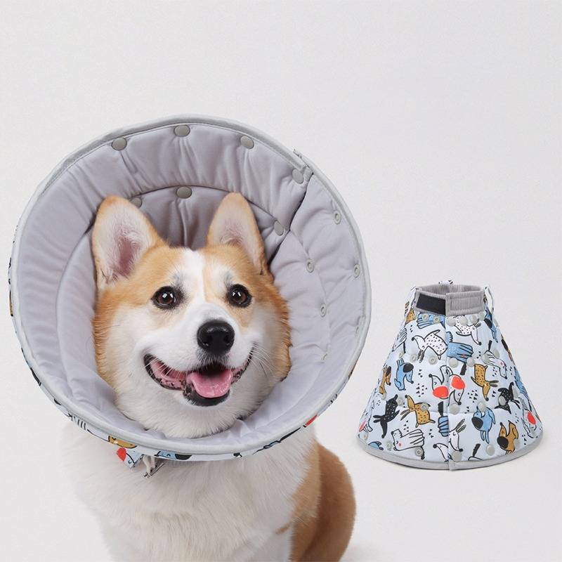 Ein lächelnder Corgi, der einen grauen Schutzhalskragen trägt, wird neben einem farbenfrohen gemusterten Kegel auf weißem Hintergrund gezeigt.