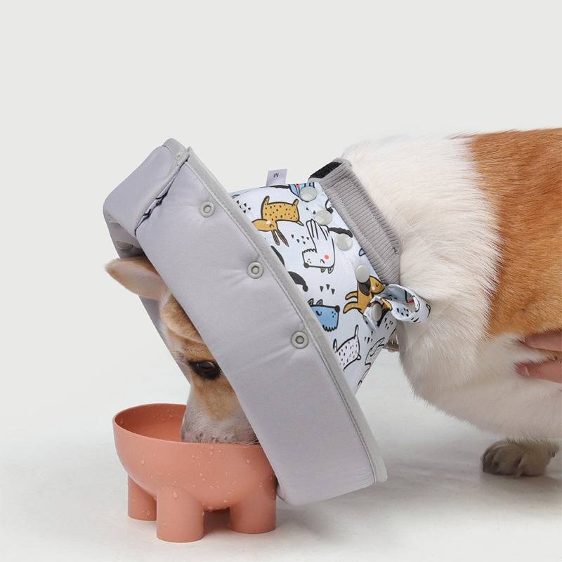 Ein Hund mit einem Schutzkegel und einem gemusterten weichen Halsband trinkt aus einer kleinen rosa Schüssel auf weißem Hintergrund.