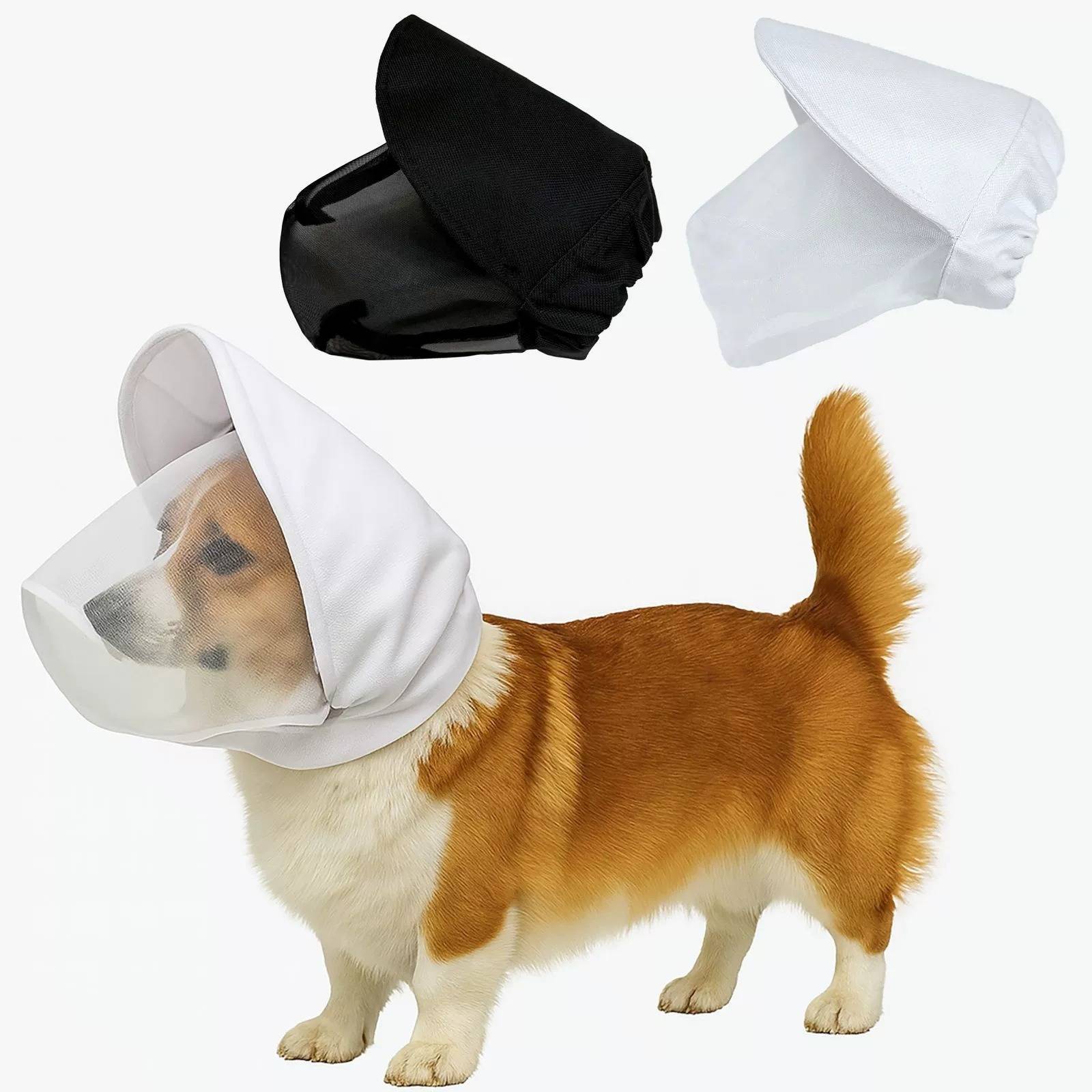 Hund mit Schutzkonushut, gezeigt mit schwarzen und weißen Hutfarboptionen oben.
