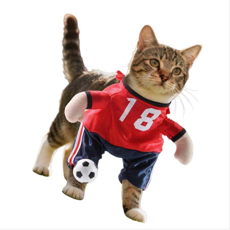 Eine getigerte Katze, die ein rotes Trikot mit der Nummer 18 und eine dunkelblaue Hose trägt, in einer Pose, als würde sie mit einem kleinen Ball Fußball spielen, vor weißem Hintergrund.