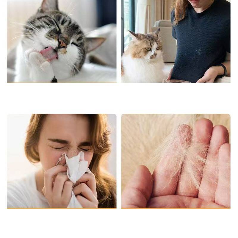 Vier-Panel-Collage mit einer Katze, die sich putzt, einer Katze in der Nähe einer Person, einer Person, die in ein Tuch niest, und einer Hand, die Katzenhaar hält, was auf Tierallergien hindeutet.