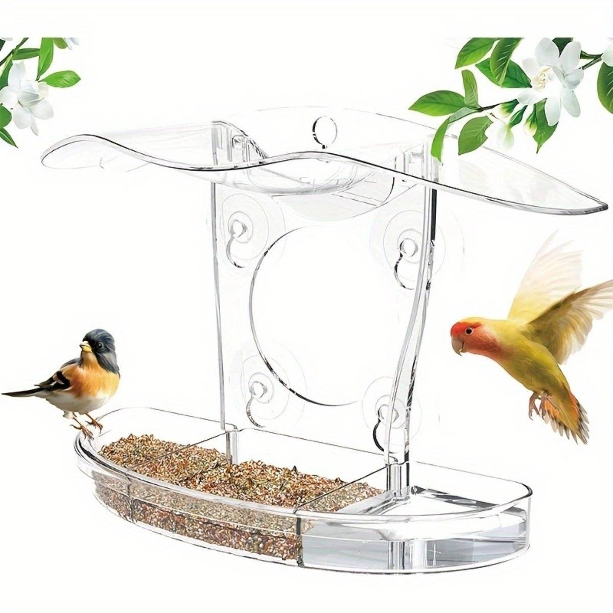 Transparenter hängender Vogelfutterplatz mit Samen, dargestellt mit zwei kleinen Vögeln, die daneben fressen oder schweben, vor weißem Hintergrund.