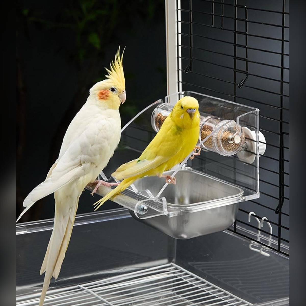 Zwei Kakadus sitzen auf einem käfigmontierten Futternapf und einer Wasserschale, einer weiß mit gelbem Kamm und einer leuchtend gelb.