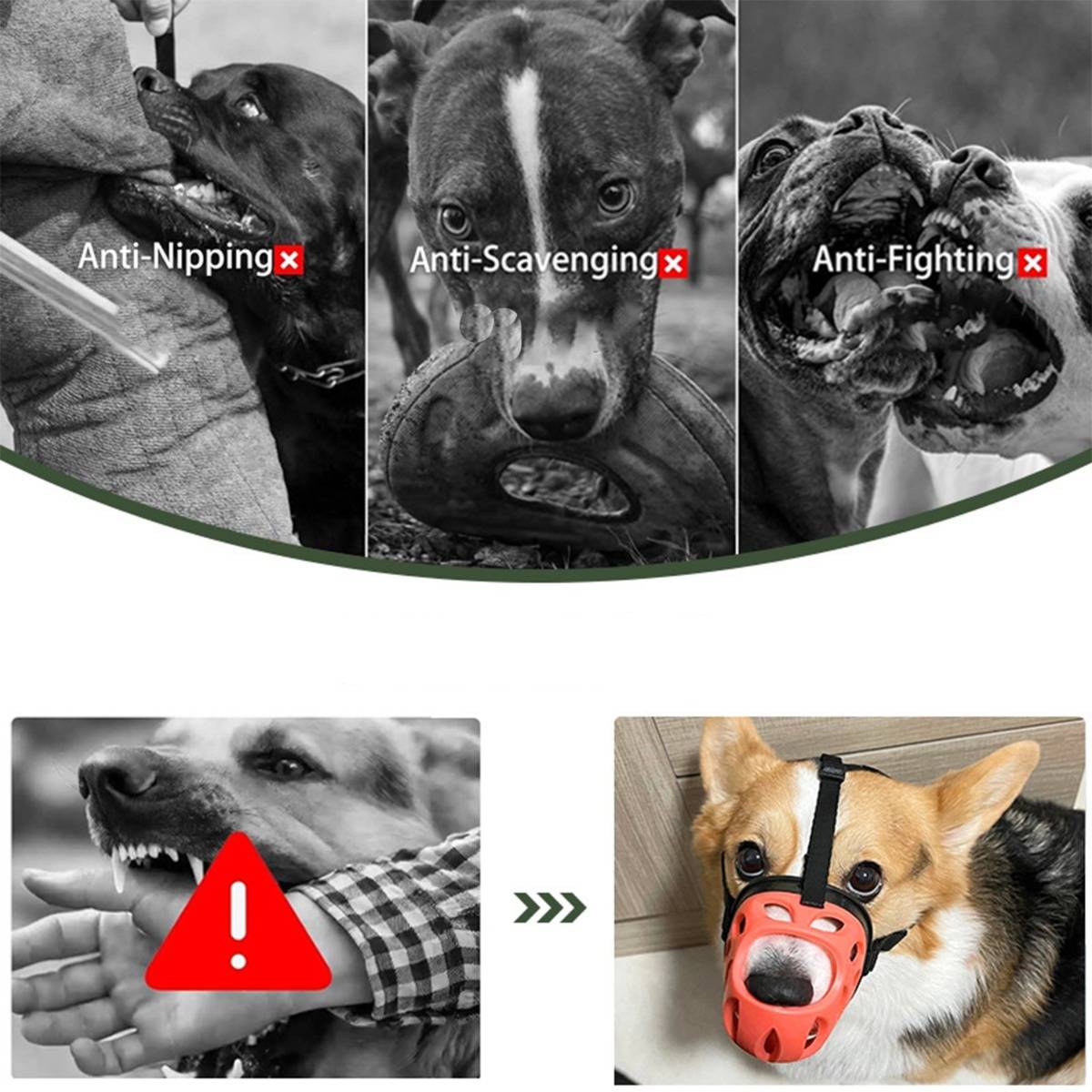 Infografik, die unsicheren Maulkorbgebrauch bei Hunden vergleicht, beschriftet mit „Anti-Knabbern