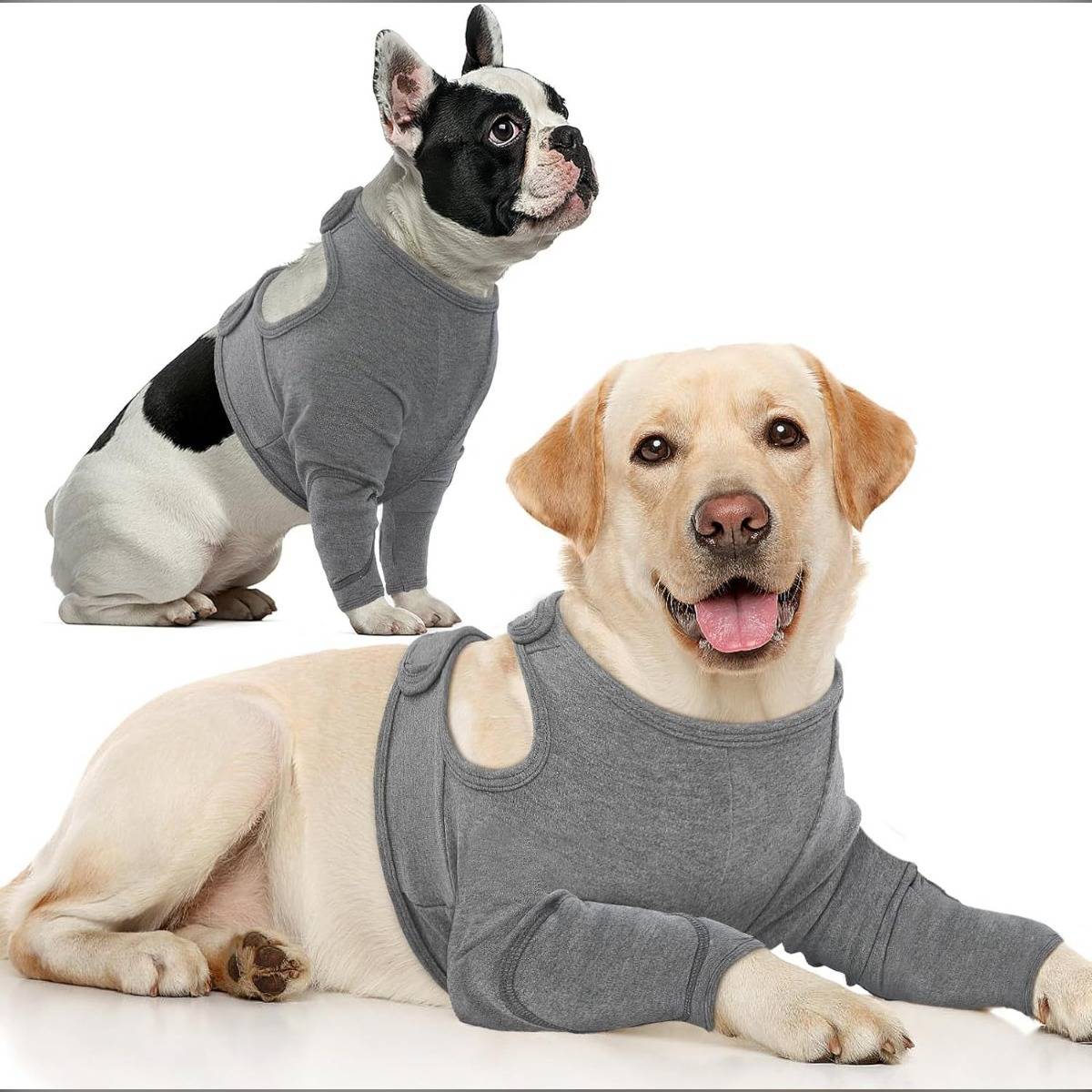 Zwei Hunde mit grauen Hemden: ein Labrador, der vorne liegt, und eine Französische Bulldogge, die dahinter sitzt, auf weißem Hintergrund.