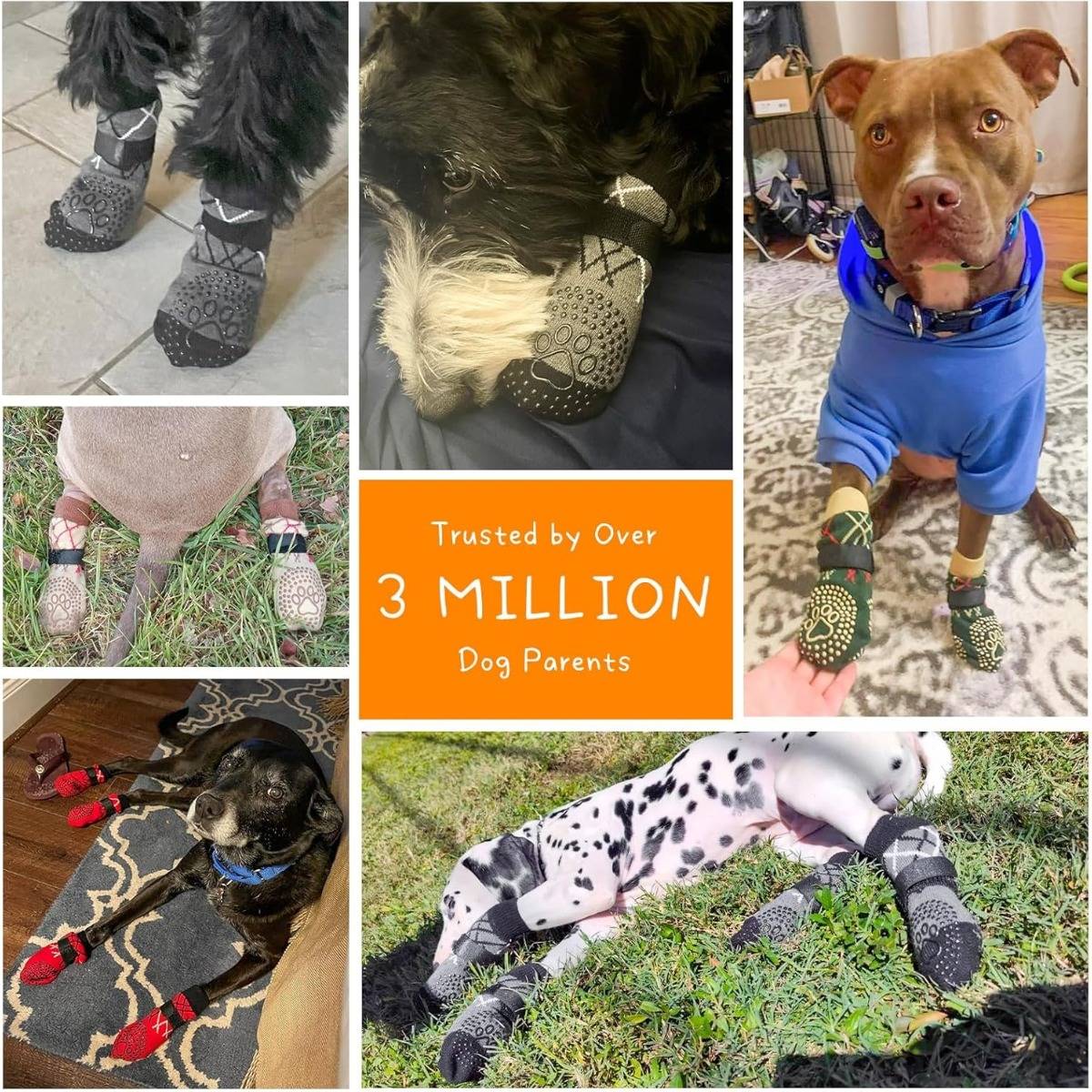 Collage von Hunden, die Pfotendruck-Socken oder Stiefelchen in verschiedenen Umgebungen tragen, mit Text, der sagt „Vertraut von über 3 MILLIONEN Hundeeltern