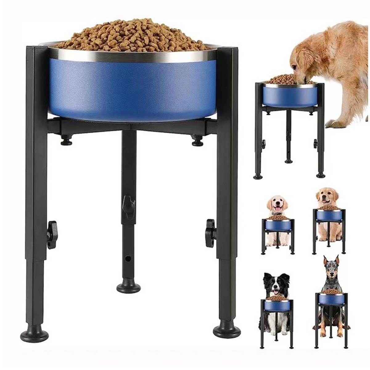 Höhenverstellbarer erhöhter Hundenapf mit blauem Napf und schwarzem Metallständer, gezeigt mit Hunden verschiedener Größen, die daraus fressen.