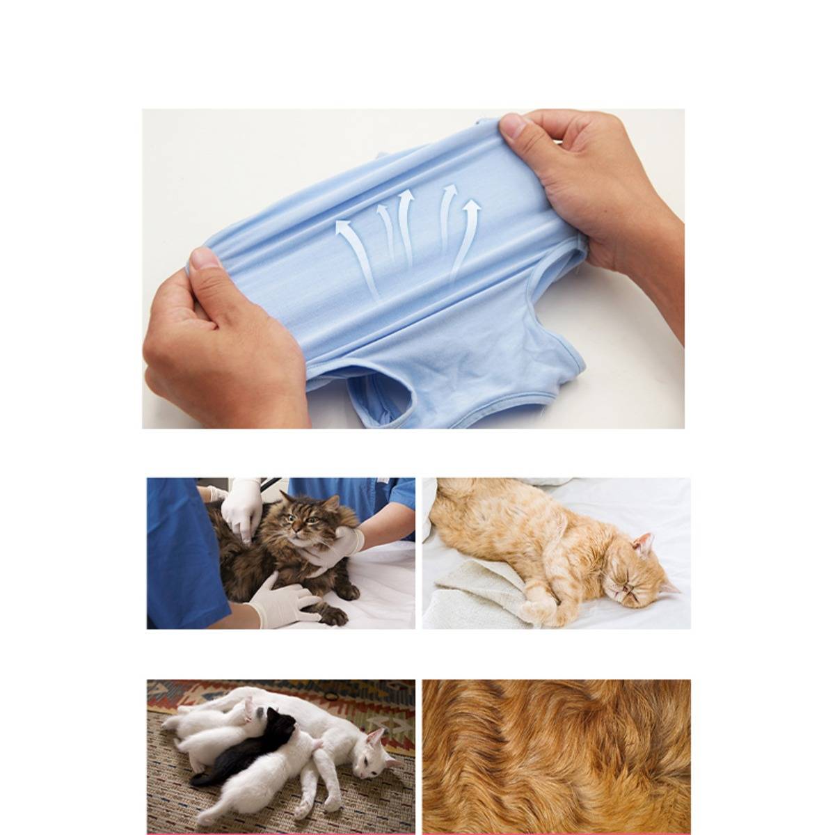 Collage mit einem Hauttestverfahren für Haustiere und verschiedenen Katzen mit Hautproblemen, einschließlich Haarausfall und Reizungen.