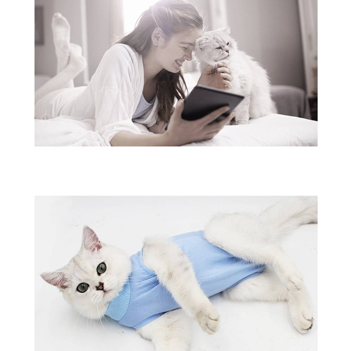 Eine Frau liegt auf einem Bett und lächelt eine flauschige weiße Katze an, während sie ein Tablet in den Händen hält; darunter trägt die Katze ein blaues Hemd und ruht sich auf weißem Hintergrund aus.