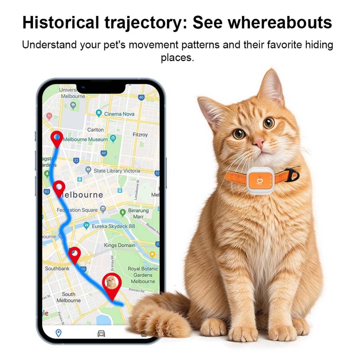Anzeige für Pet-Tracker: Eine Smartphone-Karte zeigt die Bewegungshistorie einer Katze in Melbourne, zusammen mit einer orange Katze, die ein Tracking-Halsband trägt.