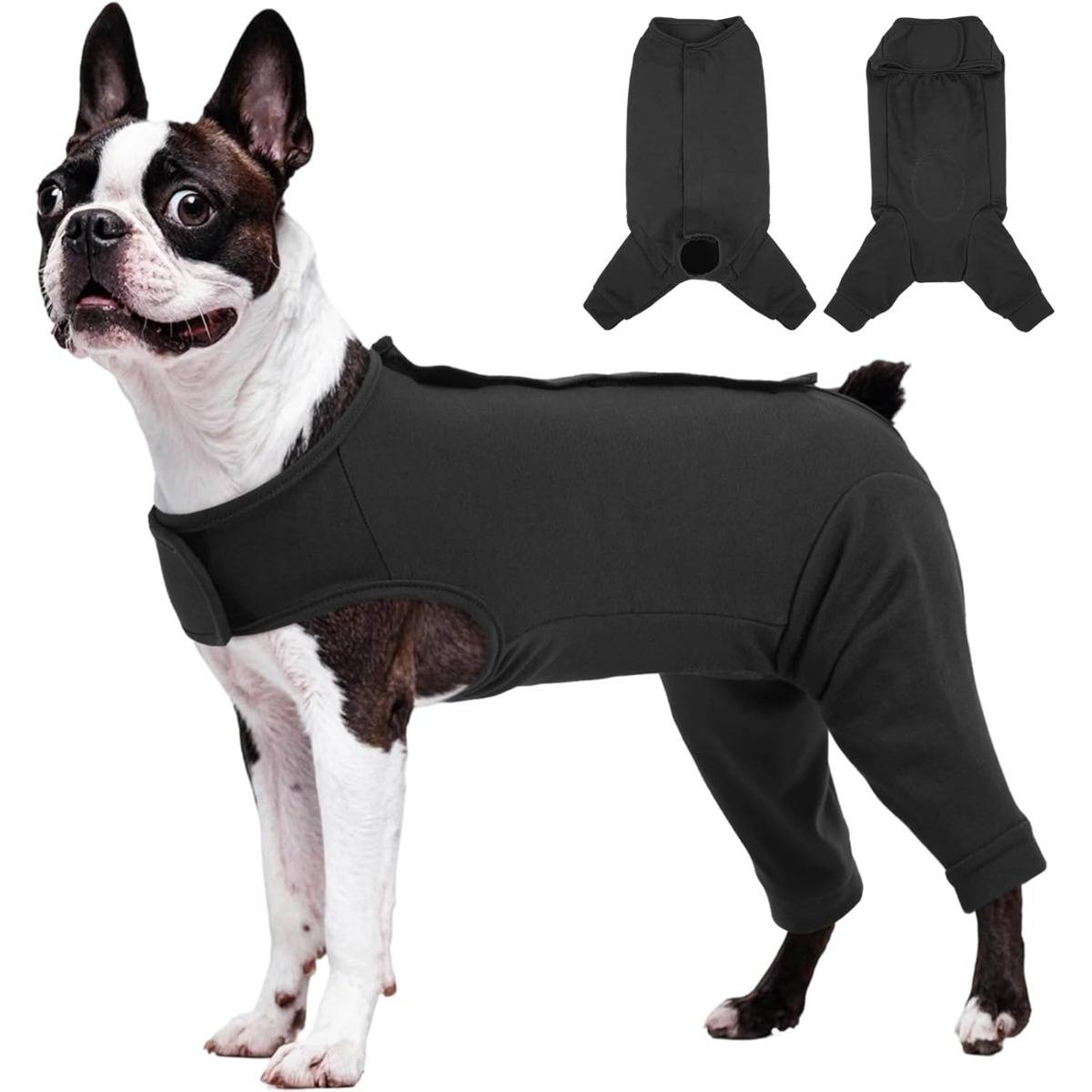 Schwarzer Ganzkörper-Hundeanzug an einem Boston Terrier, mit zwei kleinen Produktansichten, die die Vorder- und Rückseite zeigen.