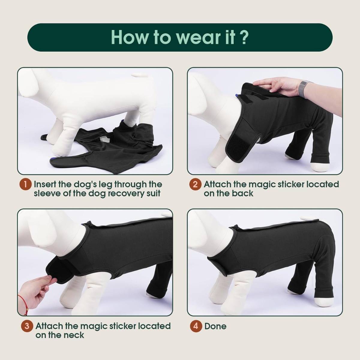 Infografik mit dem Titel „Wie wird es angezogen?" mit vier Schritten zum Anziehen eines Hundegenesungsanzugs an einer Hundemannequin: Beine einführen, Rücken befestigen, Hals befestigen, dann fertig.