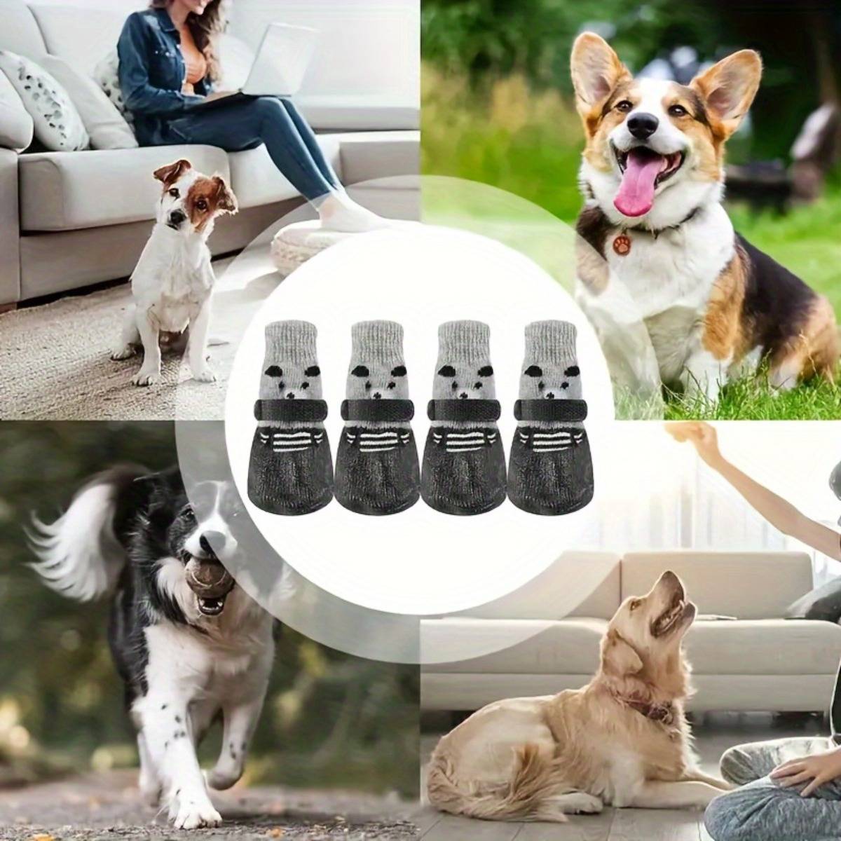 Vier Paar Hundesocken, gezeigt als Produktcollage mit Hunden, die passende Socken in Innen- und Außenszenen tragen.