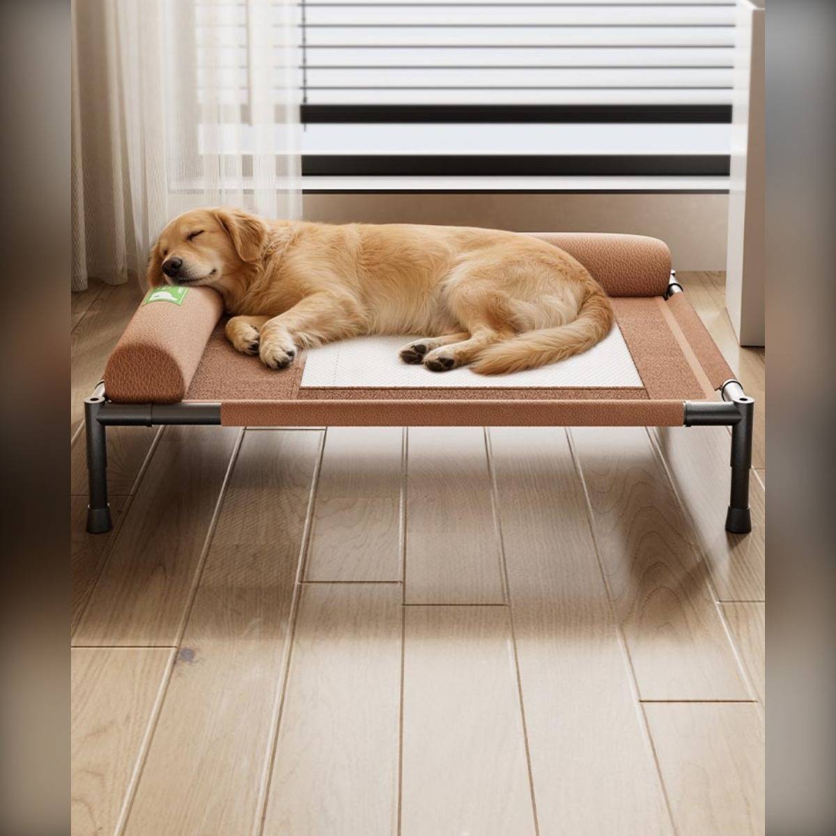 Golden Retriever, der auf einem erhöhten Hundebett neben einem Fenster in einem sonnendurchfluteten Raum schläft.