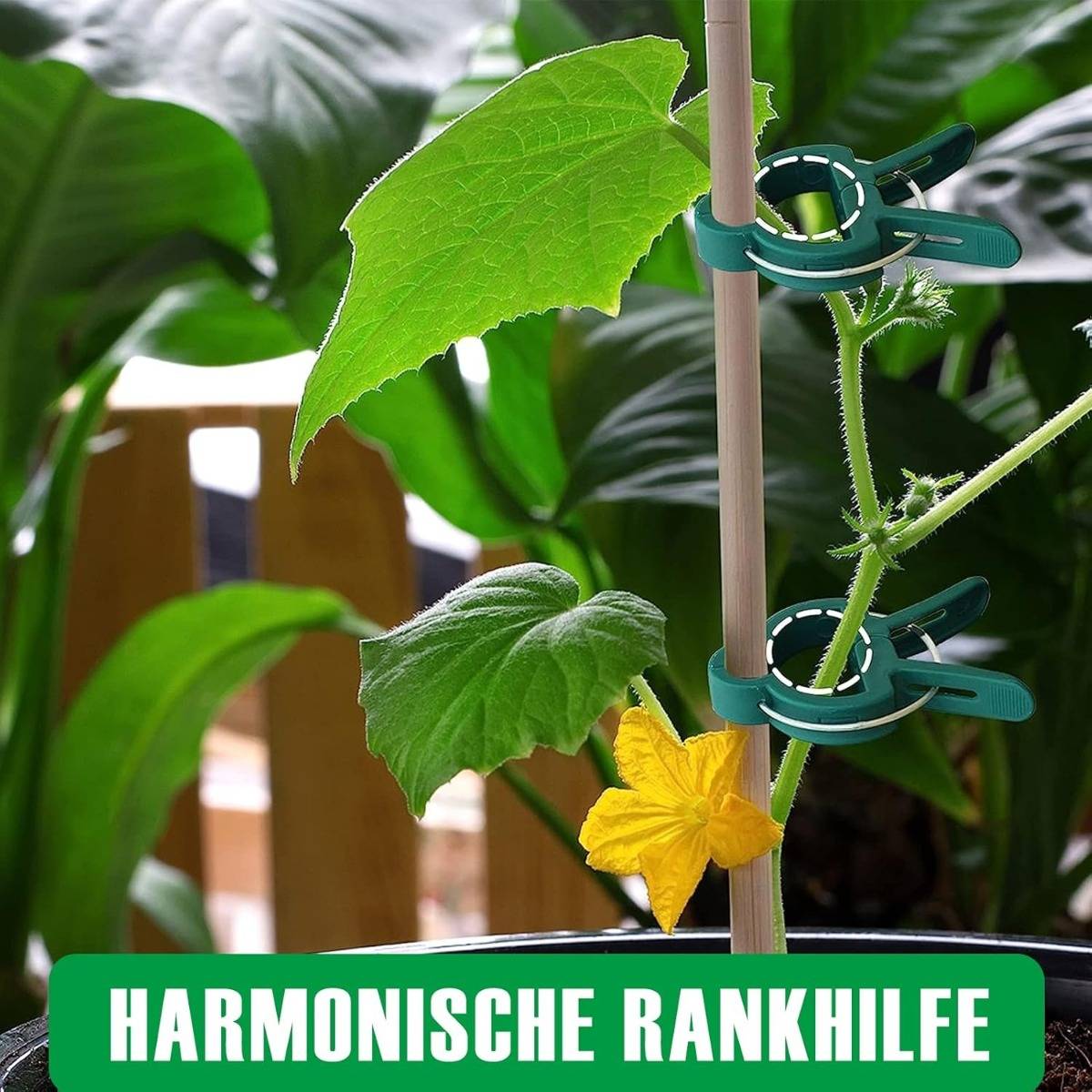 Gurkenstange erklimmt eine Stützstange mit Klammern, eine gelbe Blüte und grüne Blätter; Banner liest „HARMONISCHE RANKHILFE".