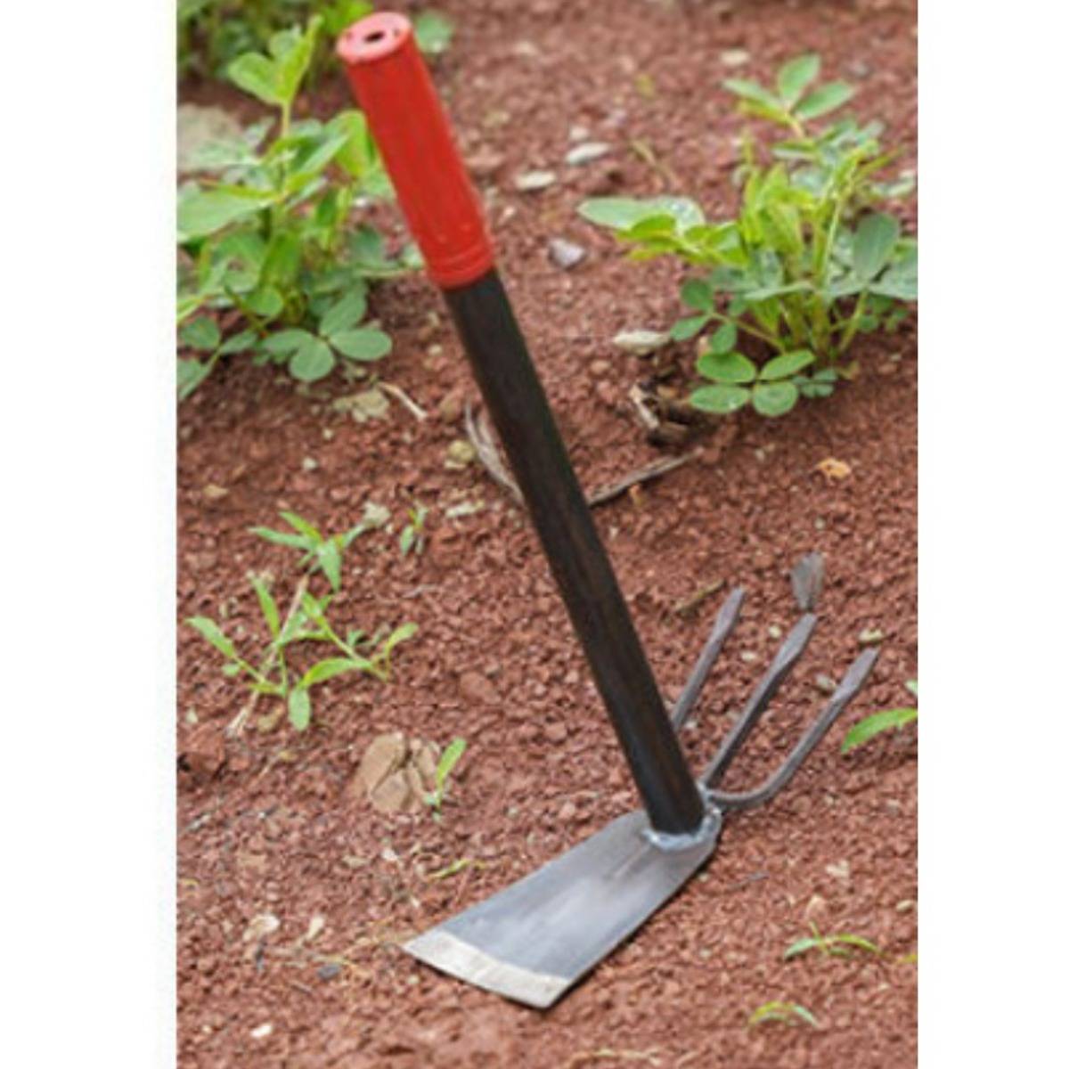 Gartenhacke mit rotem Griff, die in bearbeiteter Erde zwischen kleinen grünen Pflanzen ruht.