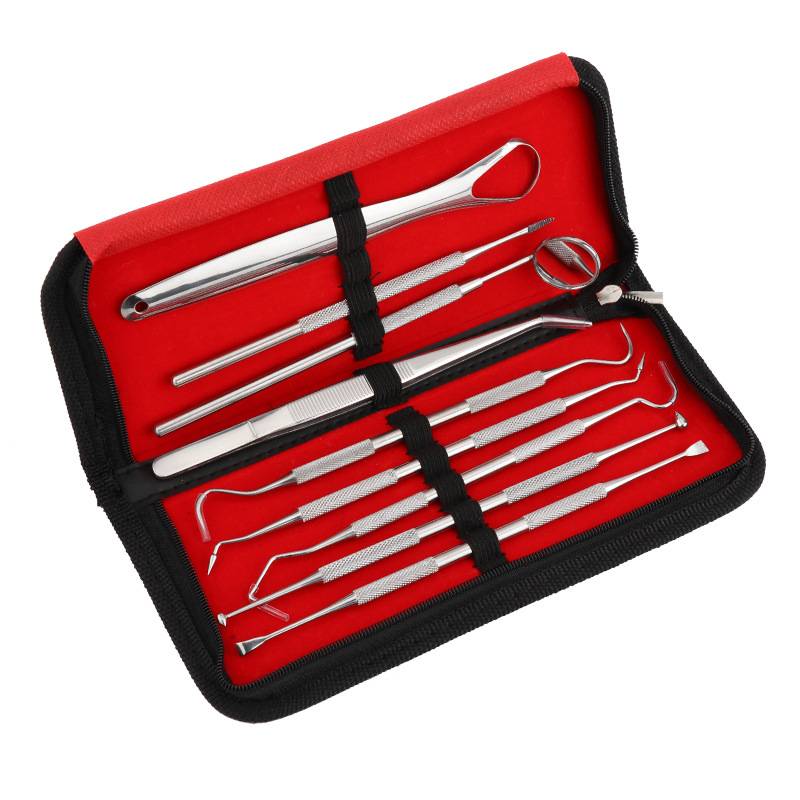 Zahnpflege-Instrumente 9 Teile mit Etui Silver