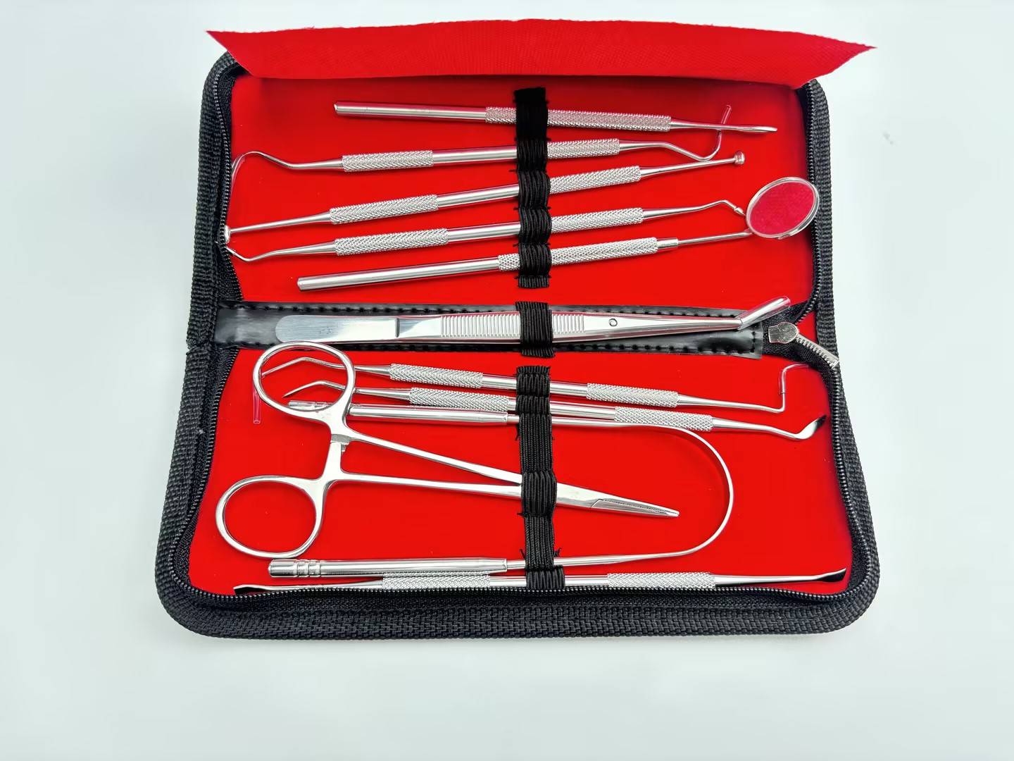 Dentalinstrumente aus Edelstahl, 11-teilig