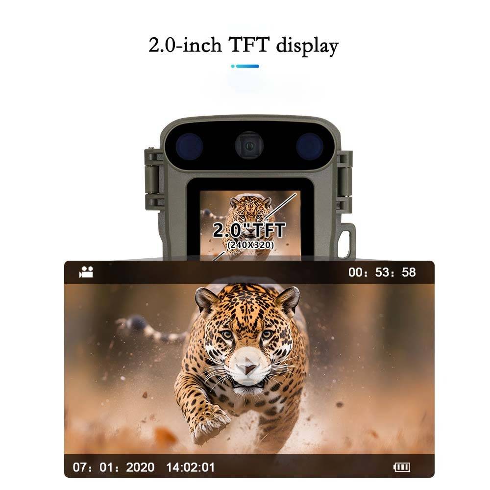 1080P Mini Jagdkamera - Infrarot-Nachtsicht, wasserdichte Wildkamera für Wildtierüberwachung