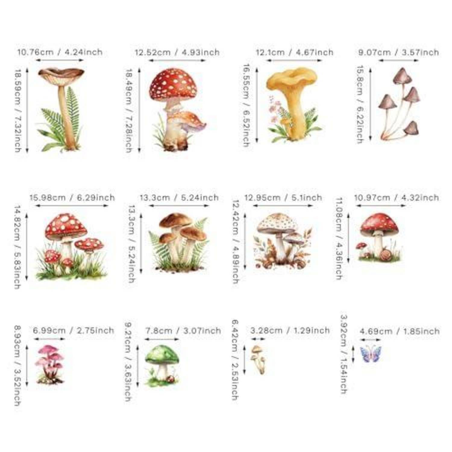 Größentabelle von Pilz- und Schmetterlingsdarstellungen, die mehrere Arten mit Breiten- und Höhenmessungen in cm und Zoll zeigt.