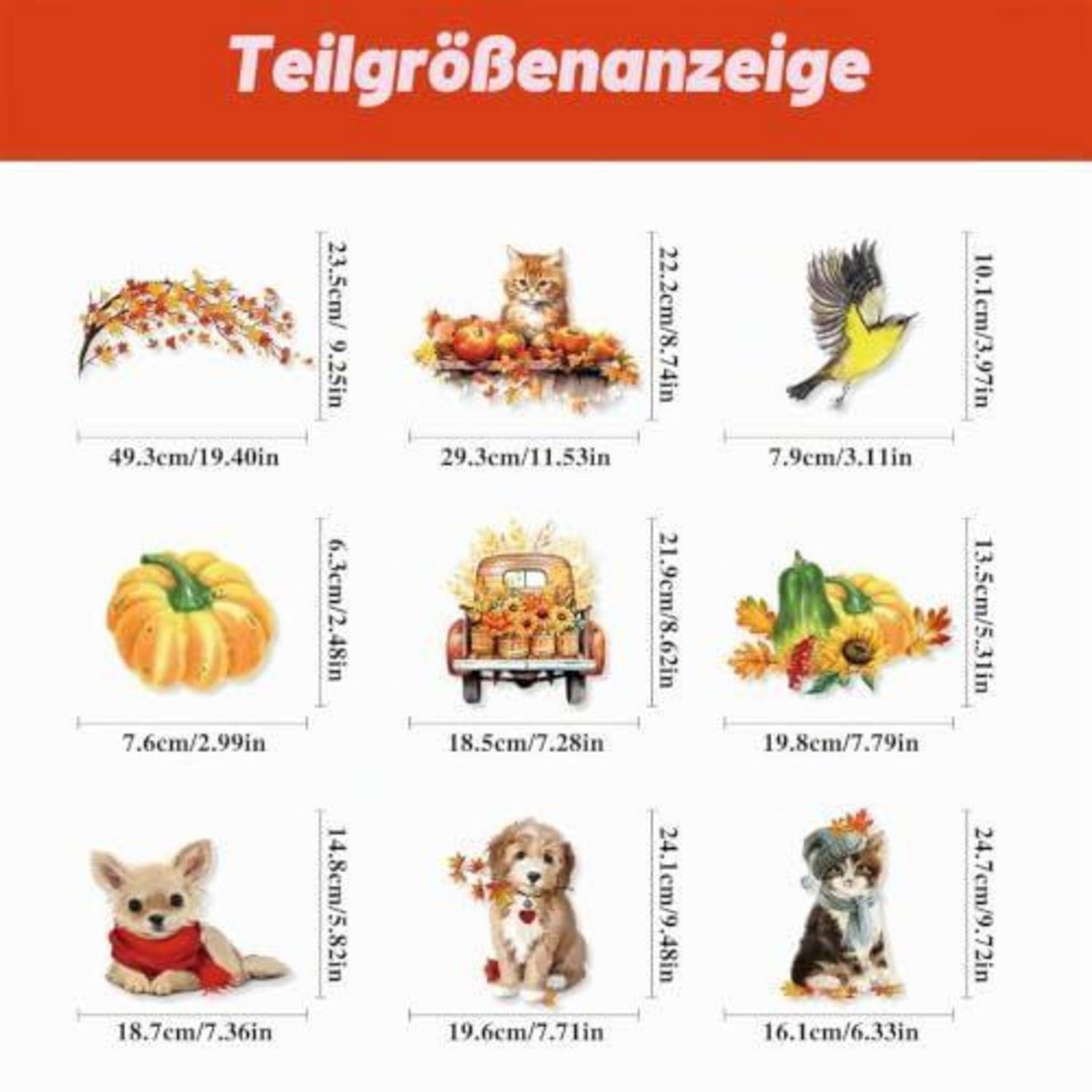 Produktgrößentabelle mit dem Titel „Teilgrößenanzeige