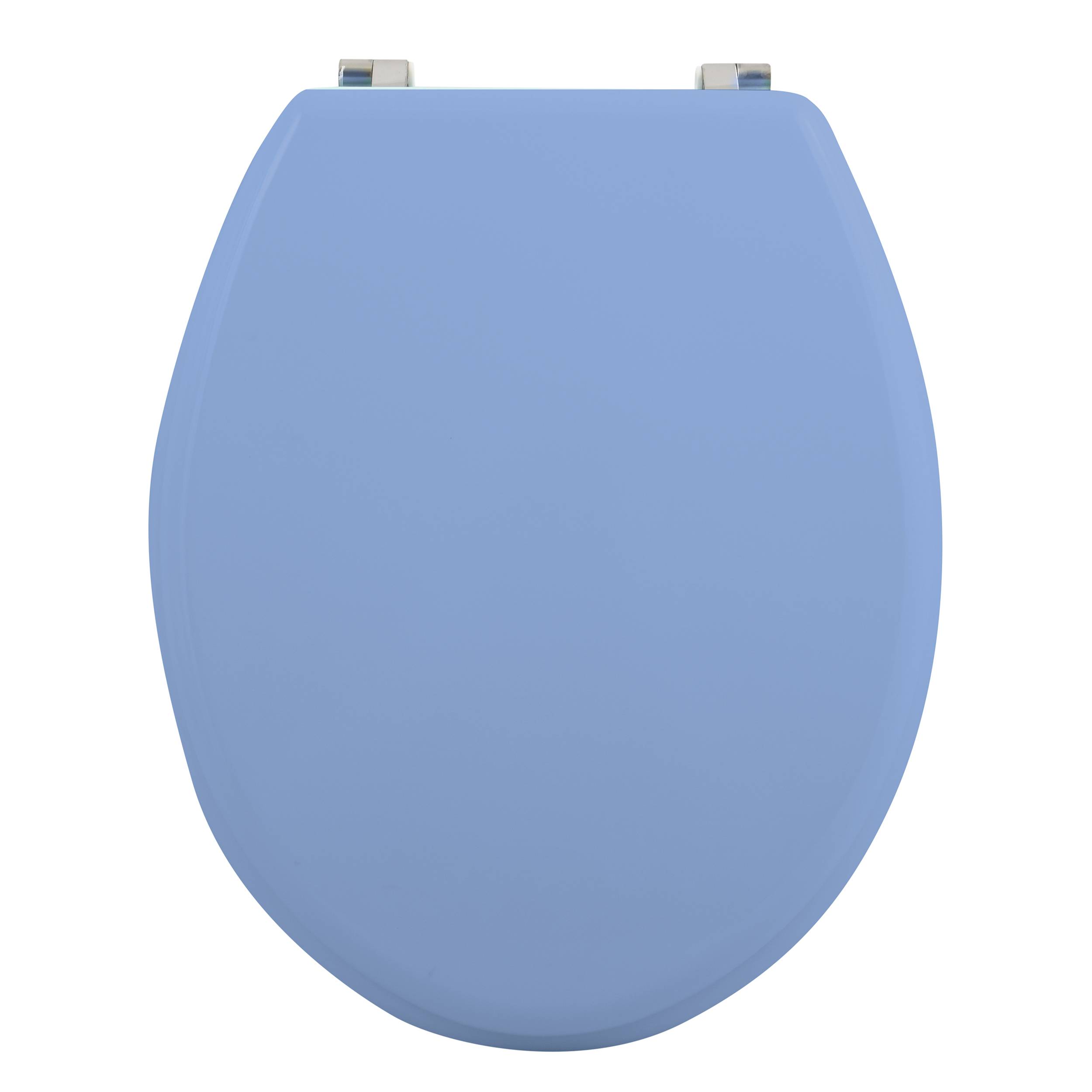 Blauer Toilettensitz von oben betrachtet, geschlossen, mit sichtbaren Metallscharnierbeschlägen oben.