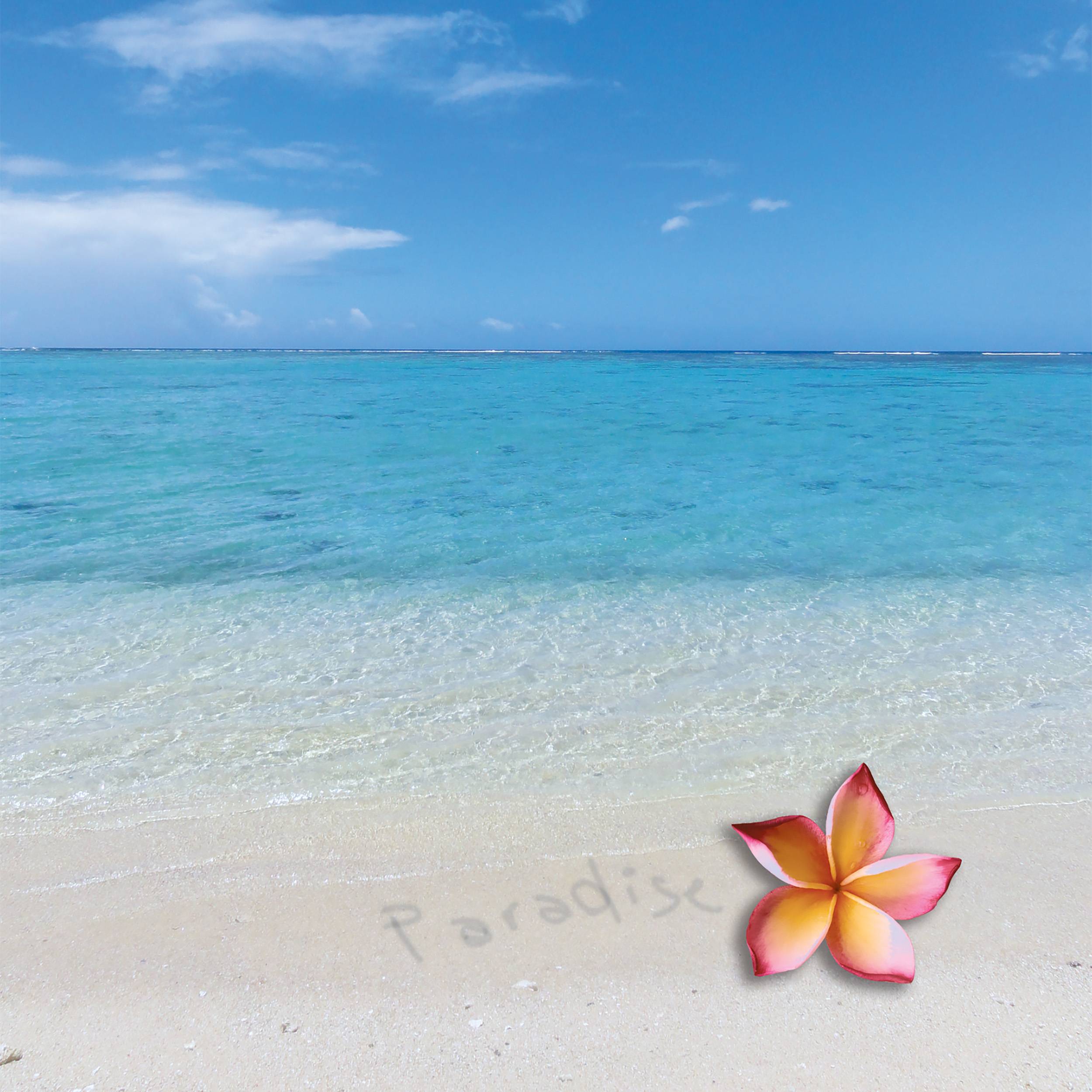 Tropischer Strand mit klarem türkisfarbenem Wasser und blauem Himmel; eine rosa-gelbe Plumeria-Blüte ruht im Sand neben schwacher 