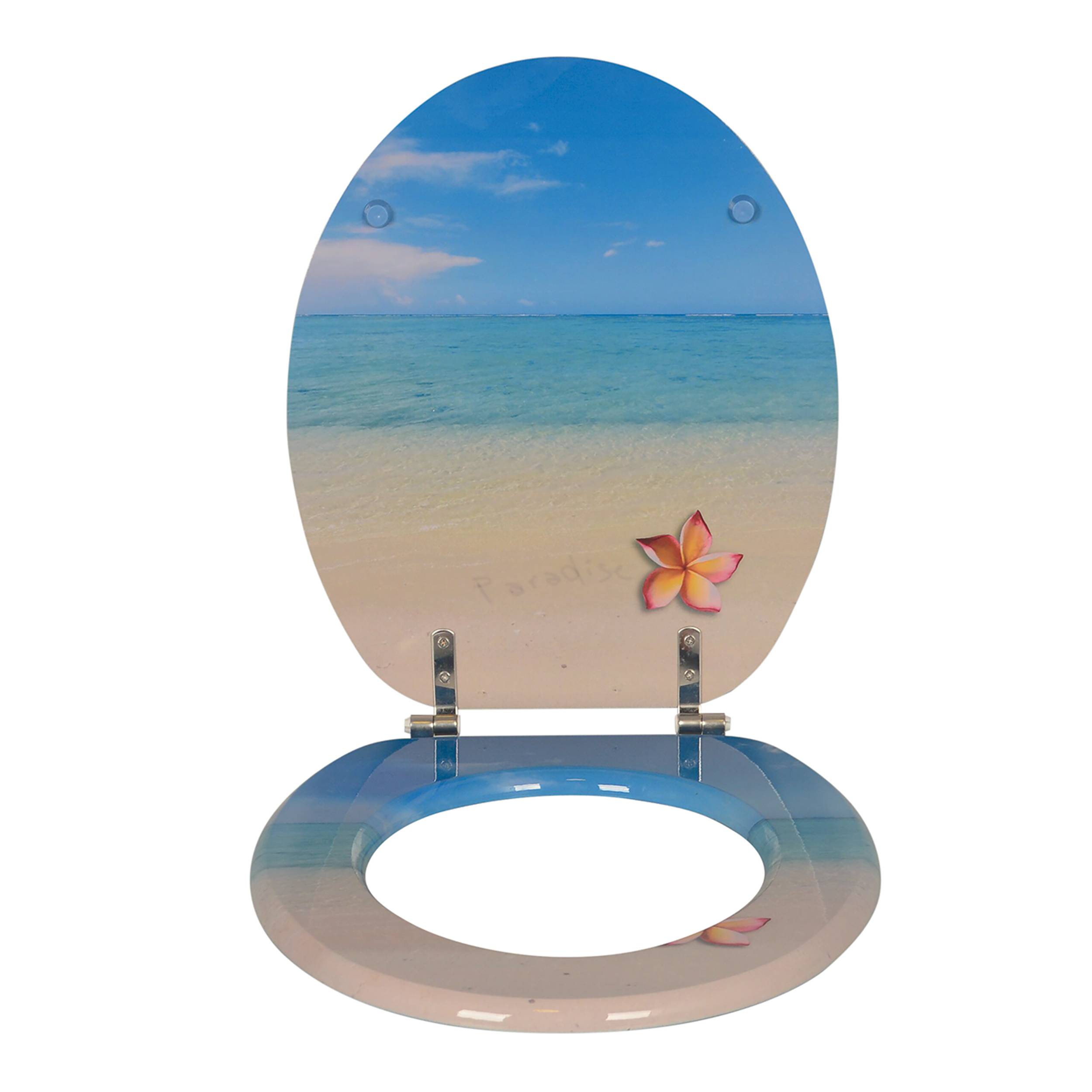 Ein Toilettensitz und -deckel angemalt mit einer Strandszene, die einen blauen Himmel, den Ozean, Sand und eine rosa Blume zeigt.