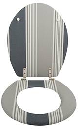 Offener Toilettensitz mit Deckel und Sitz, Grau mit vertikalem Streifenmuster und Metallscharnieren.