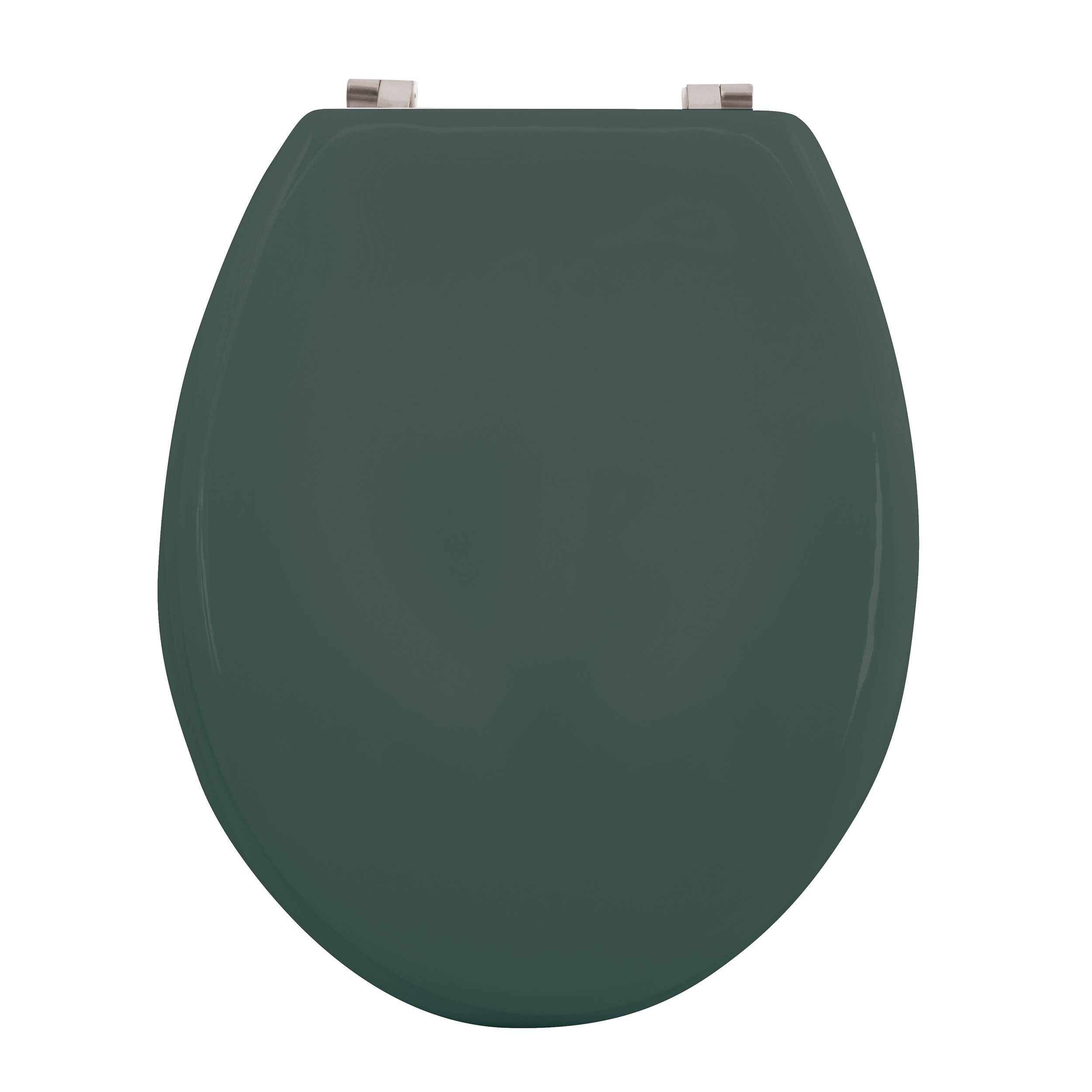Dunkelgrüner Toilettensitzdeckel mit Metallscharnieren auf weißem Hintergrund.