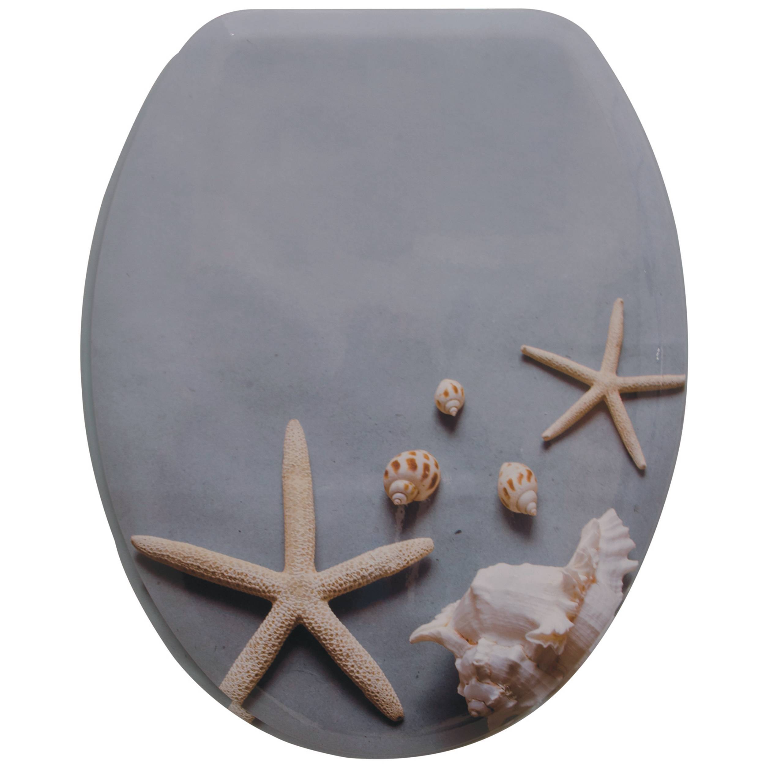 Blaugraue ovale Plakette, verziert mit zwei Seesternen, drei kleinen Muscheln und einer großen Muschelschalen-Gruppe unten rechts.