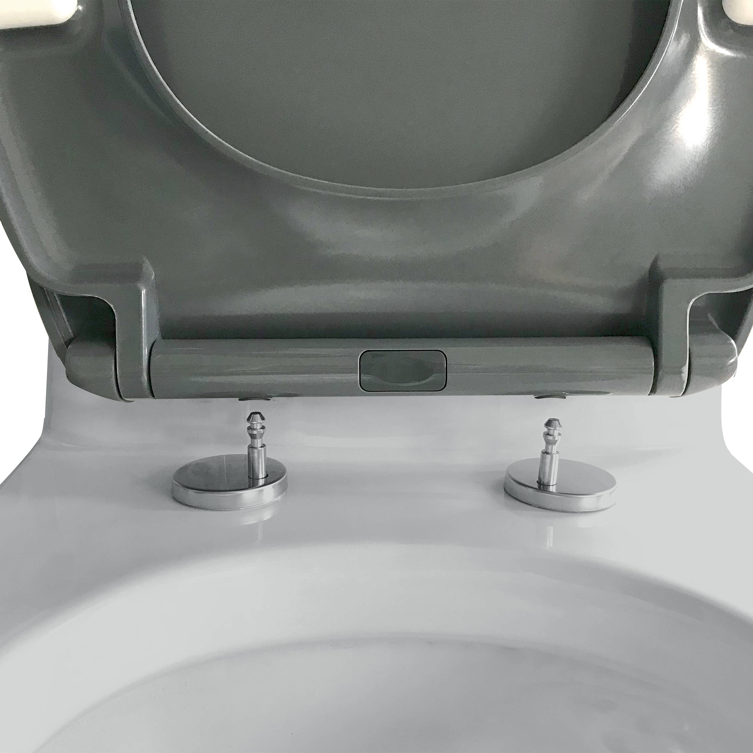 Nahaufnahme einer Toilette mit angehobenem Deckel, die zwei verchromte Befestigungsschrauben auf der Schüssel und die Unterseite des Sitzes zeigt.