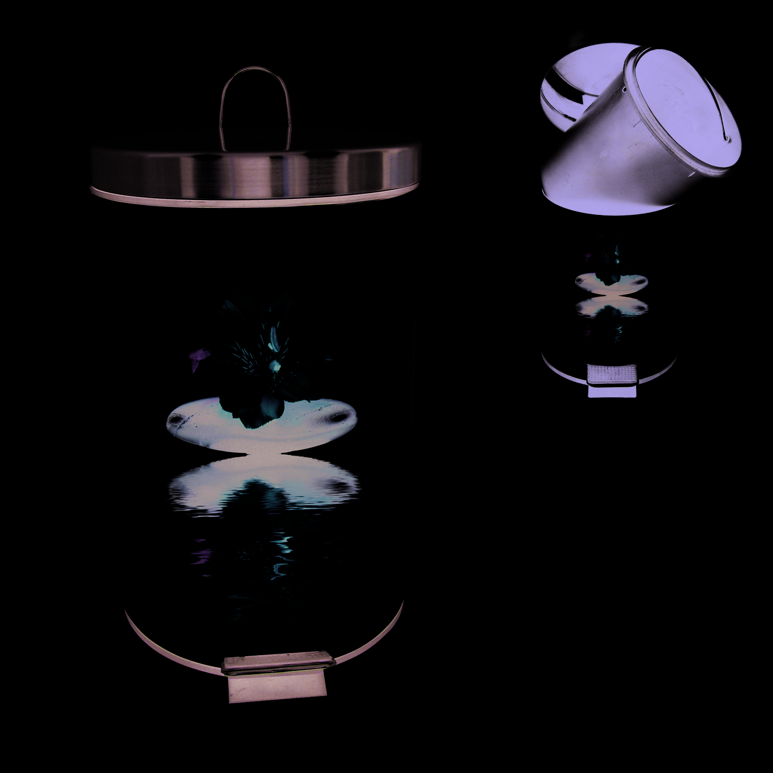 Edelstahlmülleimer mit einem Blumen- und Spiegelungsgrafikdesign, dargestellt geschlossen und geöffnet, um den Deckel und die Schwingöffnung zu zeigen.