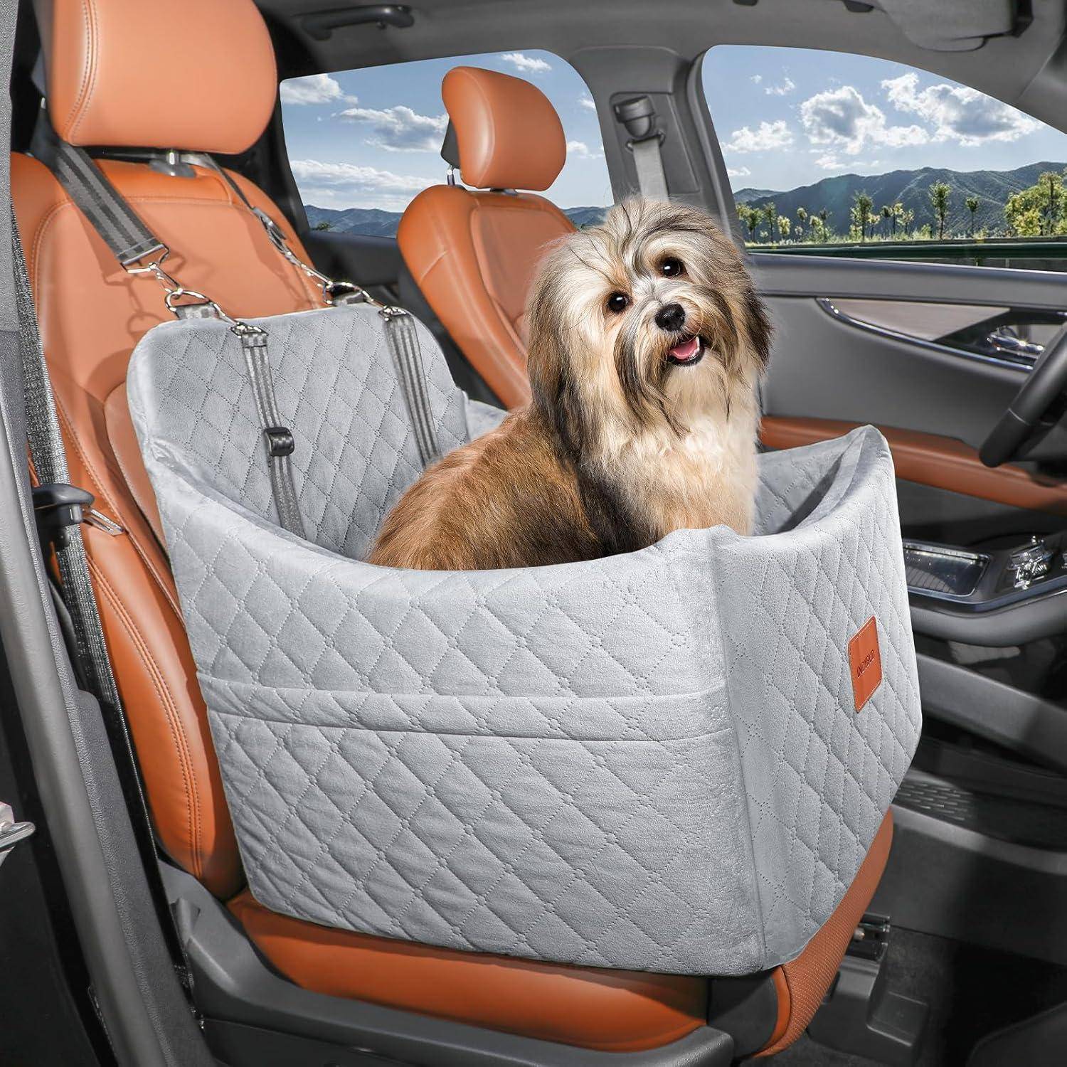 Kleiner struppiger Hund, der auf einem grauen gesteppten Autositzerhöher auf dem Beifahrersitz eines Fahrzeugs sitzt.
