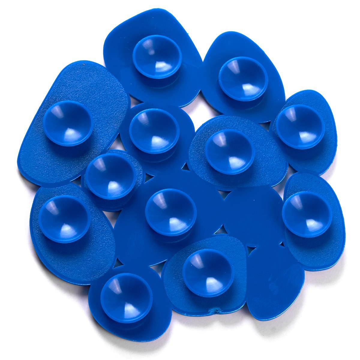 Cluster von blauen Saugnapfpolstern in einer kreisförmigen Anordnung auf weißem Hintergrund.
