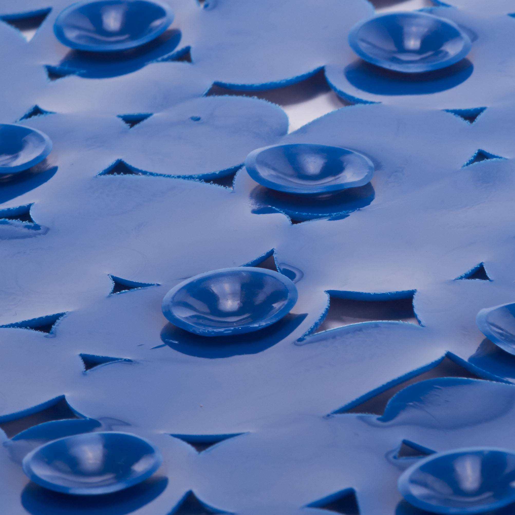 Blaue Petrischale mit Laborbild, überlappende Rundplatten und erhöhte Kuppeln, aus der Nähe von oben betrachtet.