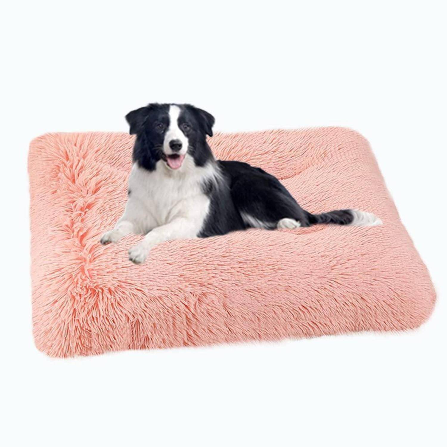Schwarz-weißer Hund, der auf einem flauschigen rosa Haustierbett vor einem einfachen weißen Hintergrund liegt.