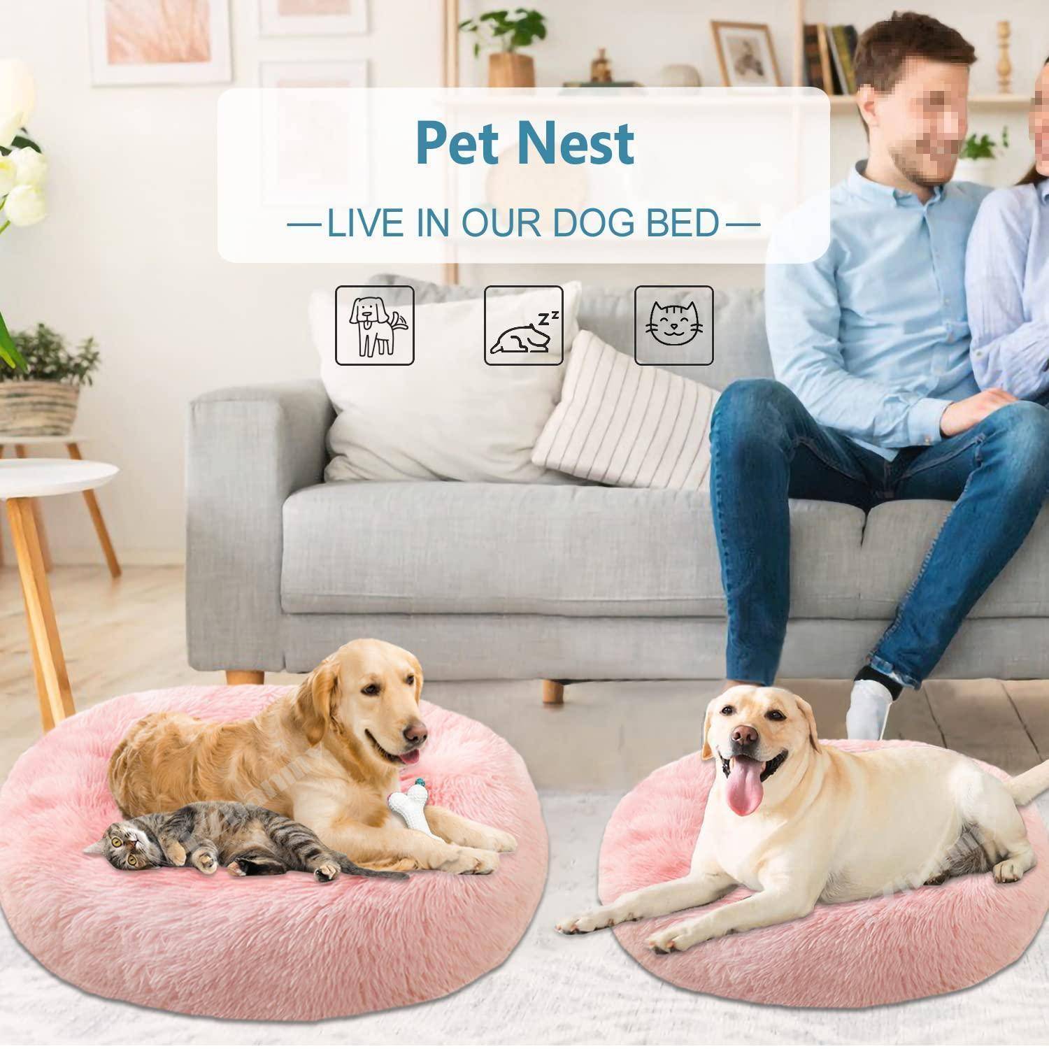 Werbebild für „Pet Nest" mit zwei Hunden und einer Katze, die auf rosafarbenen Haustierbetten in einem Wohnzimmer ruhen, während ein Mann auf einem Sofa hinter ihnen sitzt.