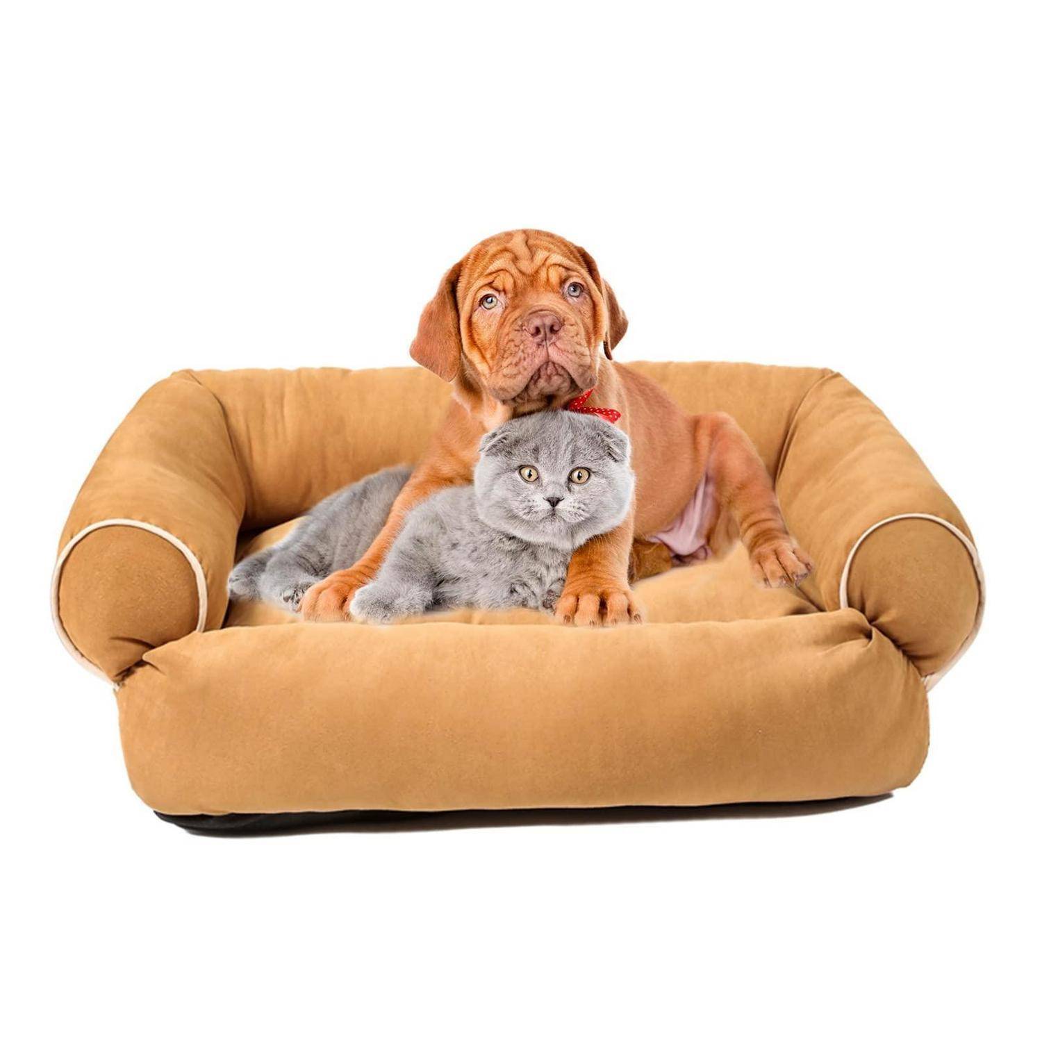 Welpe und graue Katze kuscheln zusammen auf einem beigen Haustierbett vor weißem Hintergrund.