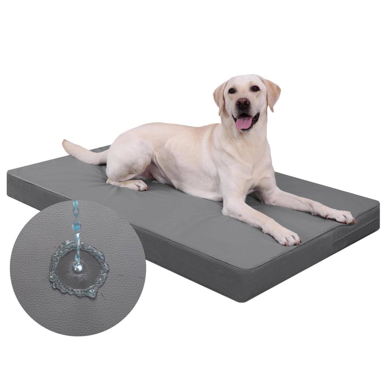 Weißer Labrador, der auf einem grauen wasserdichten Hundebett liegt, mit einer Vergrößerung, die zeigt, wie Wasser auf der Oberfläche abperlt.